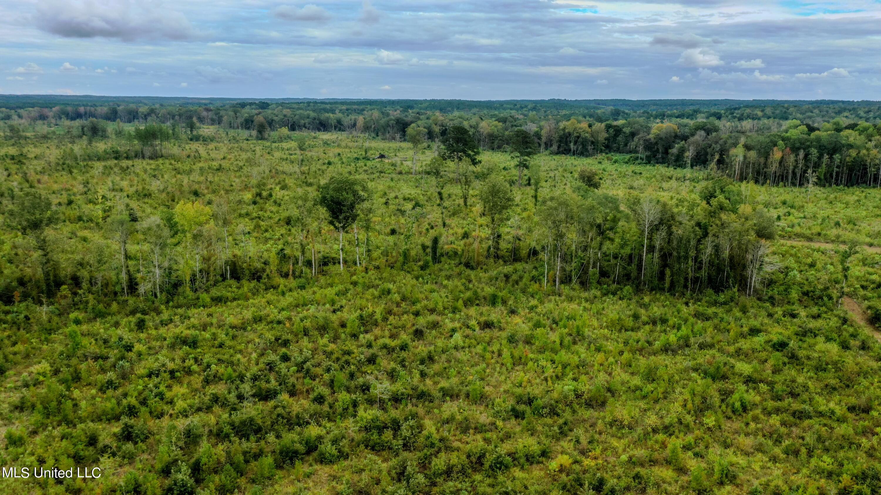 Red Dog Road Carthage, MS 39051 - Photo 15 of 19 DJI_0180