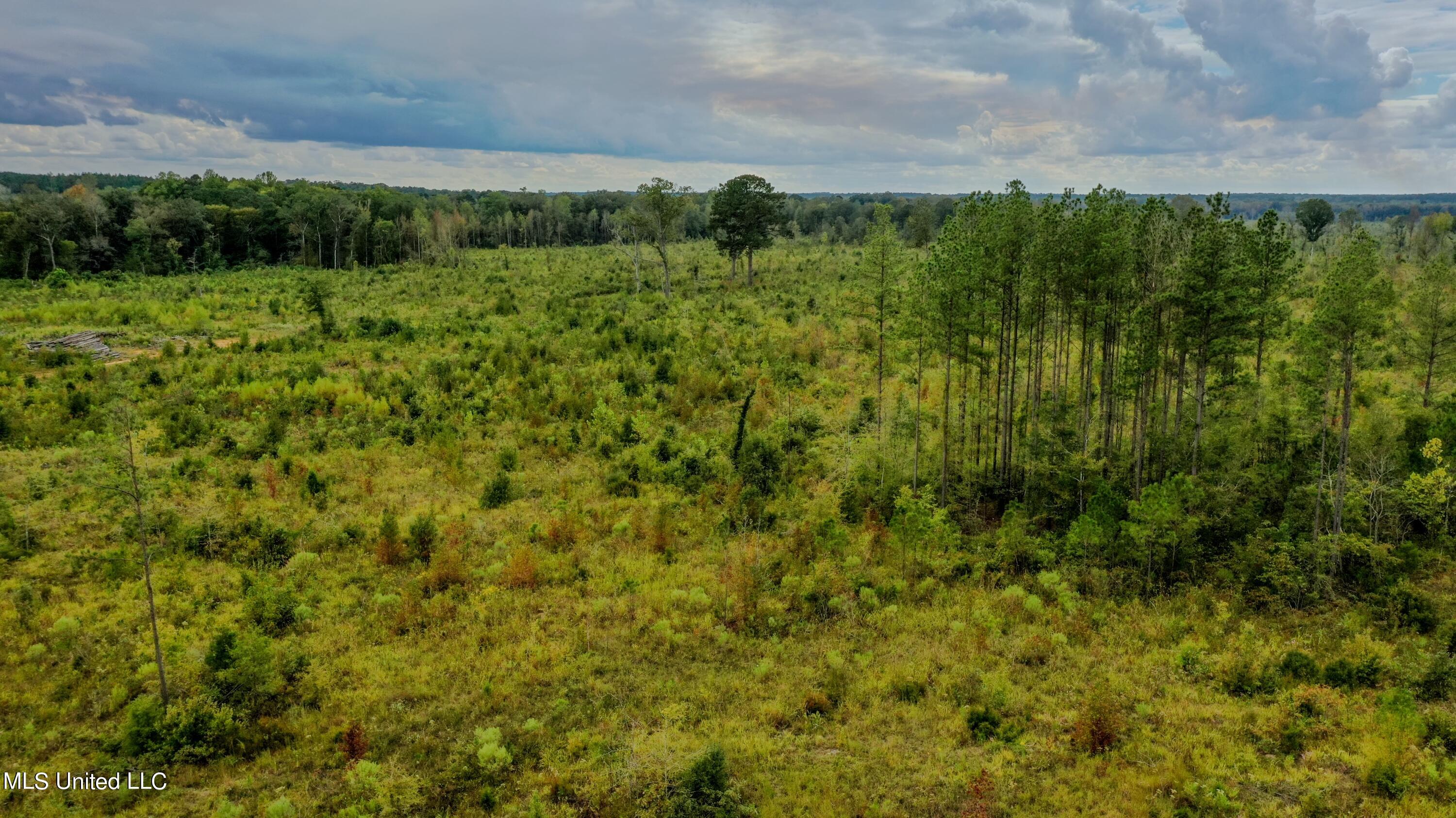 Red Dog Road Carthage, MS 39051 - Photo 16 of 19 DJI_0193