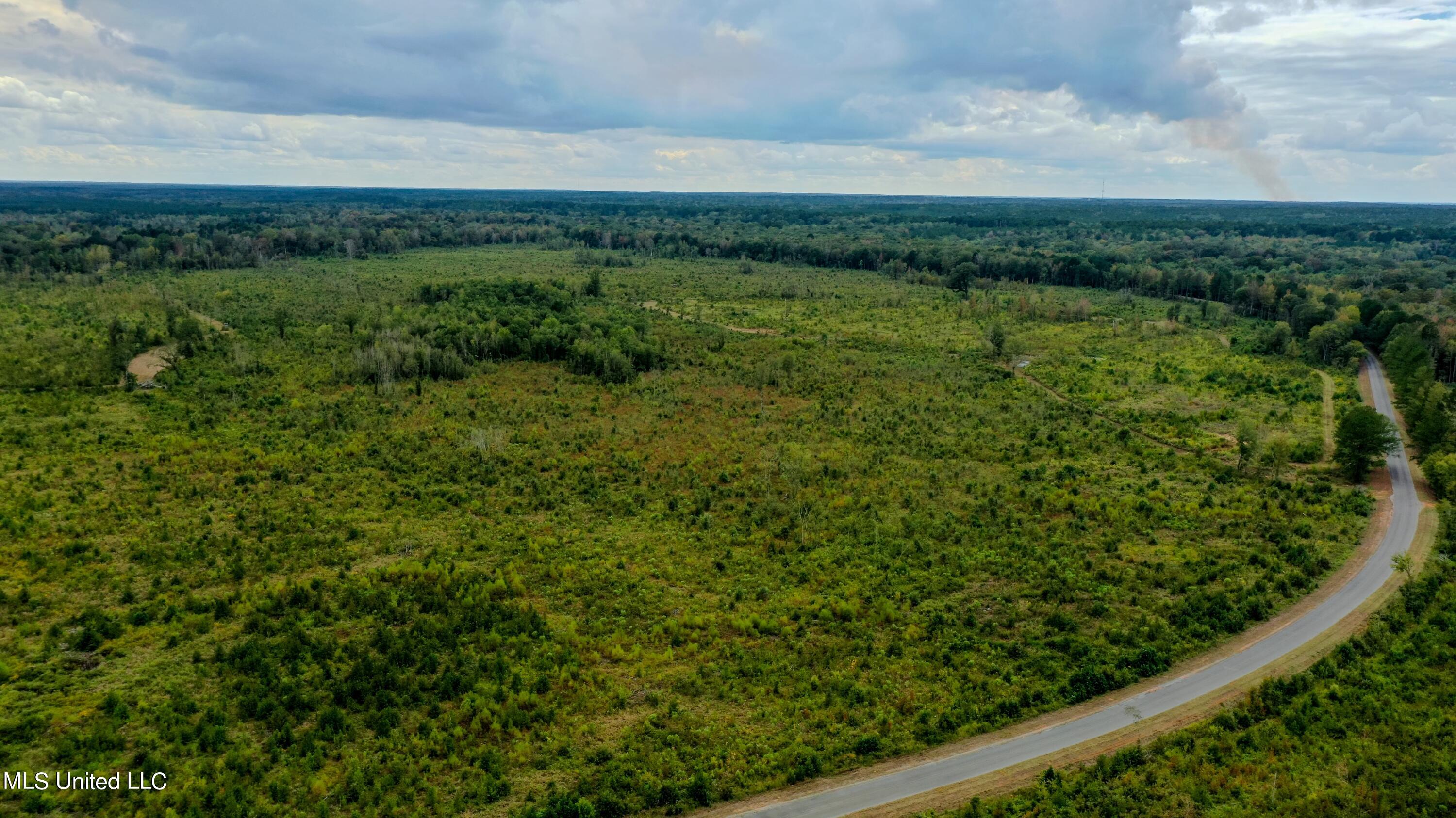 Red Dog Road Carthage, MS 39051 - Photo 17 of 19 DJI_0152