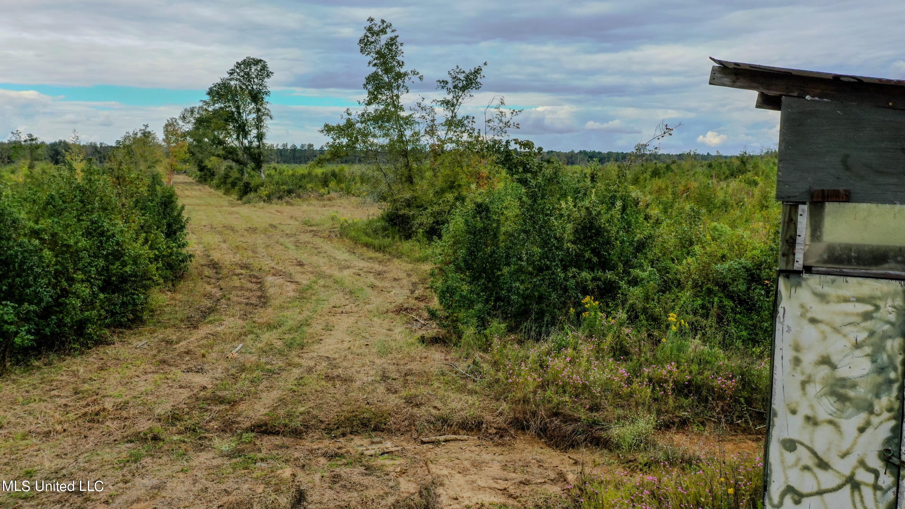 Red Dog Road Carthage, MS 39051 - Photo 2 of 19 DJI_0177