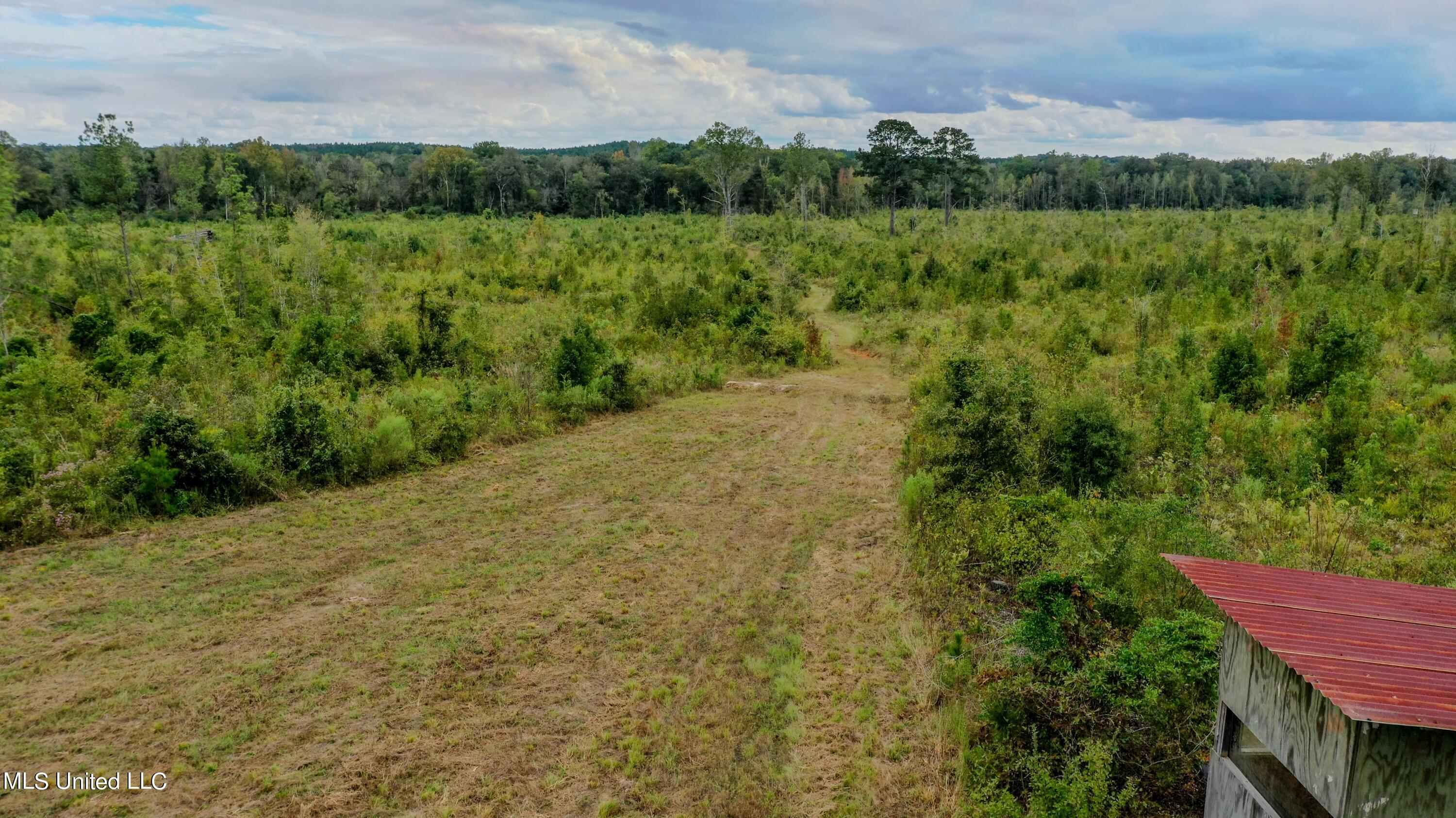 Red Dog Road Carthage, MS 39051 - Photo 3 of 19 DJI_0188