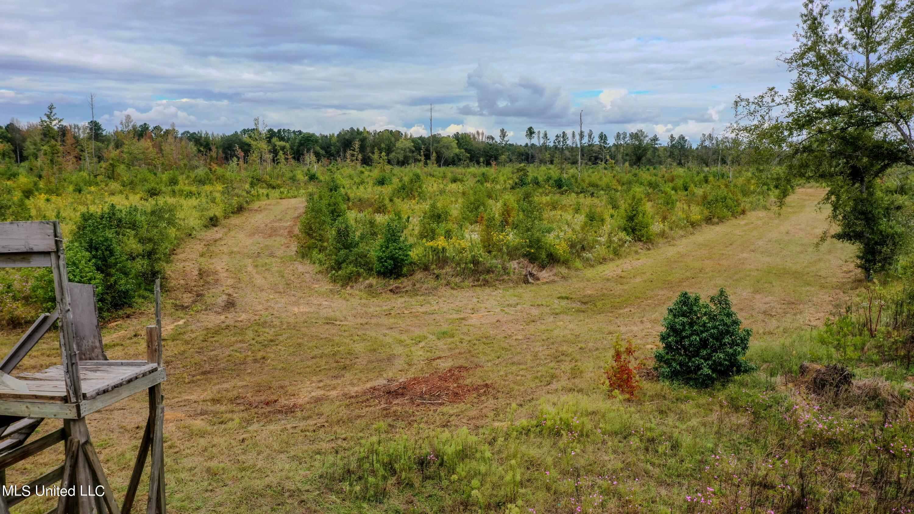 Red Dog Road Carthage, MS 39051 - Photo 4 of 19 DJI_0167