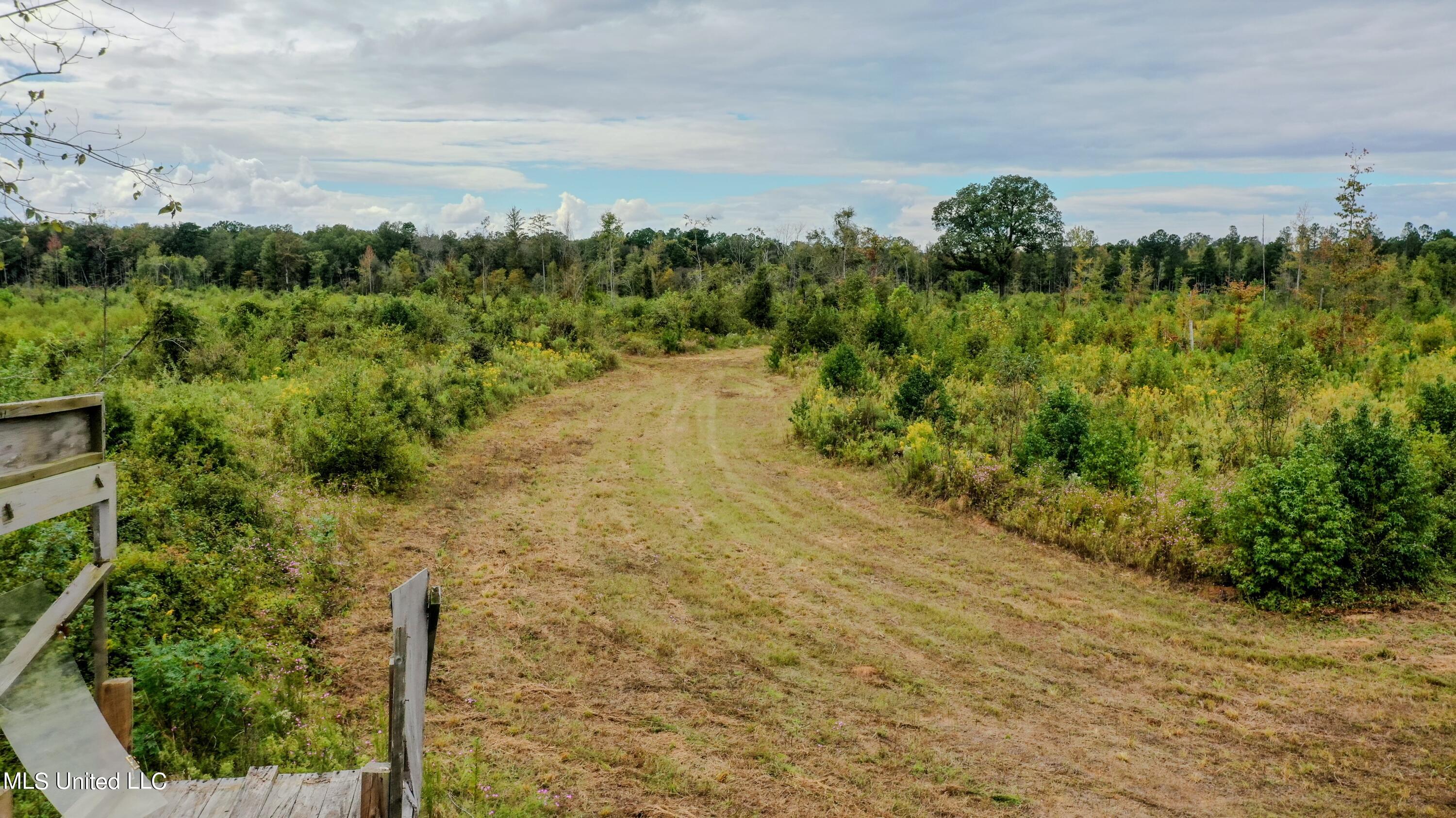 Red Dog Road Carthage, MS 39051 - Photo 5 of 19 DJI_0168