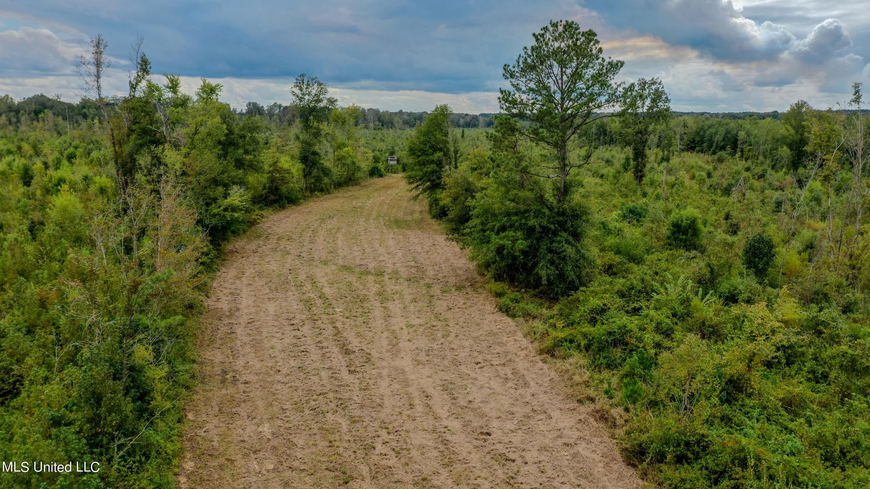 Red Dog Road Carthage, MS 39051 - Photo 6 of 19 DJI_0170