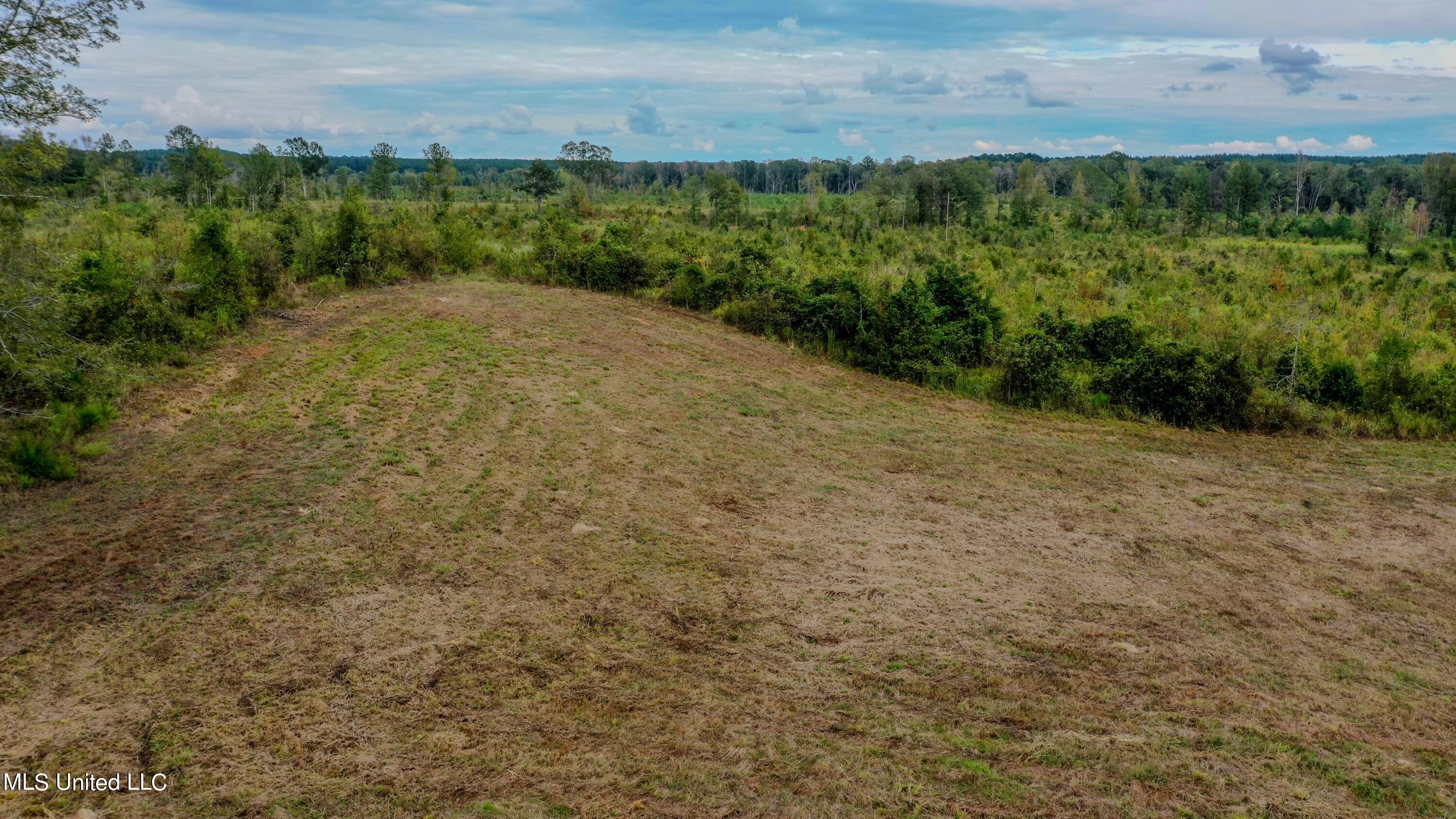 Red Dog Road Carthage, MS 39051 - Photo 7 of 19 DJI_0187