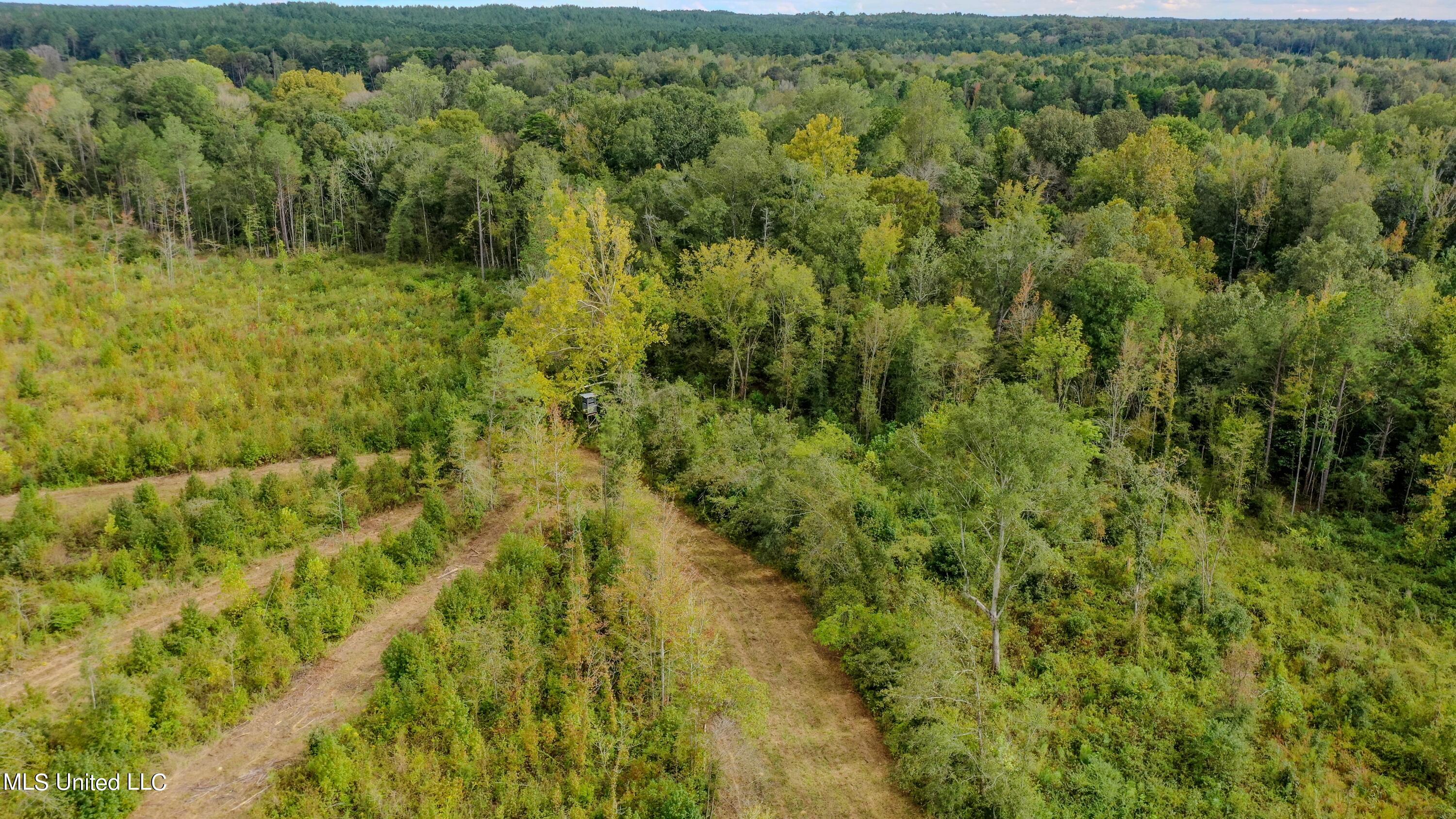 Red Dog Road Carthage, MS 39051 - Photo 8 of 19 DJI_0198