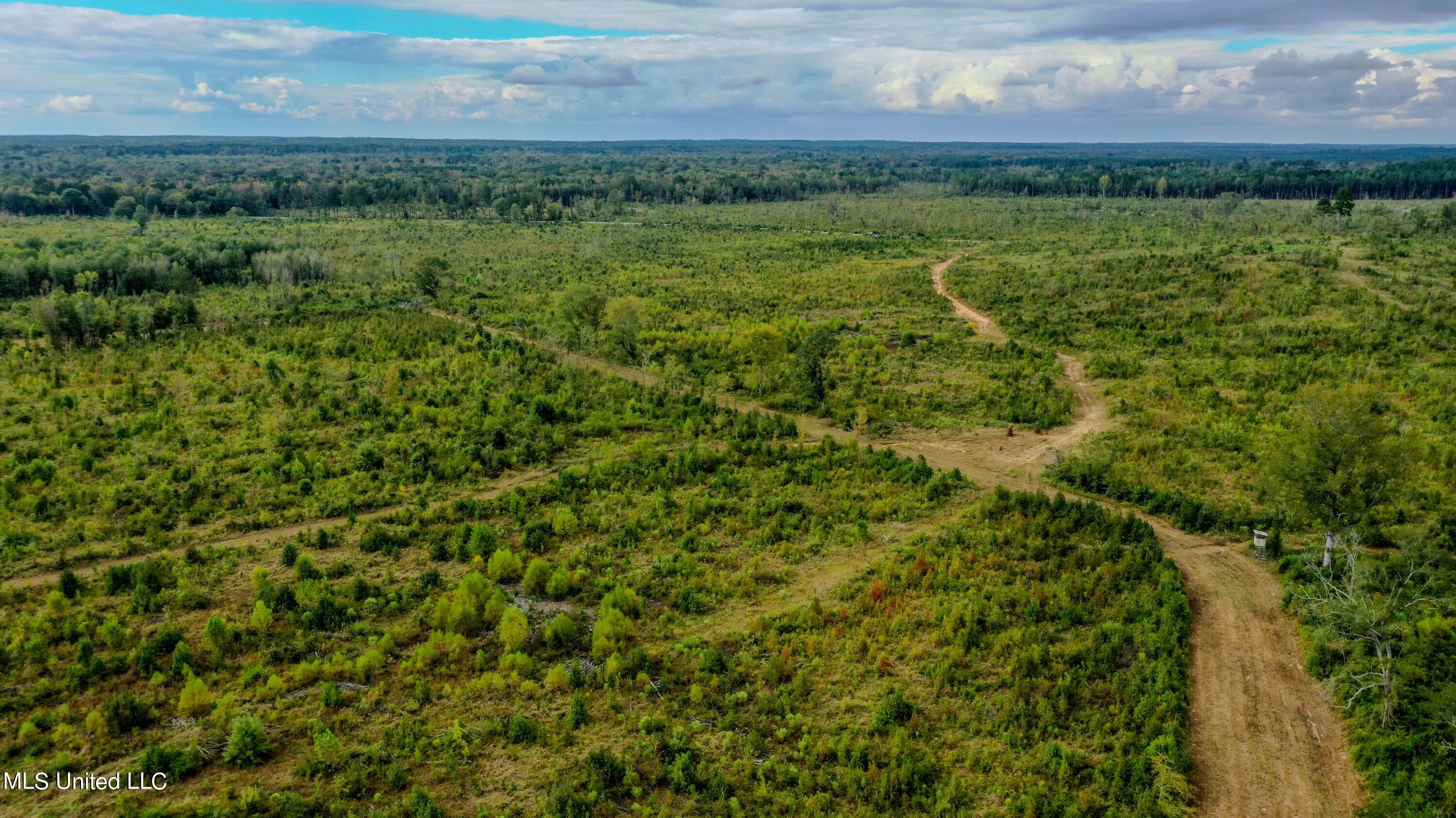 Red Dog Road Carthage, MS 39051 - Photo 9 of 19 DJI_0197