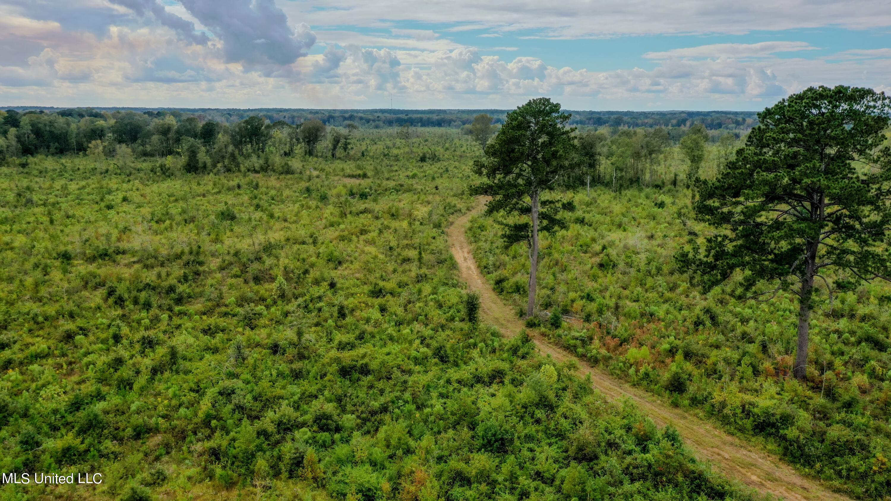 Red Dog Road Carthage, MS 39051 - Photo 10 of 19 DJI_0195