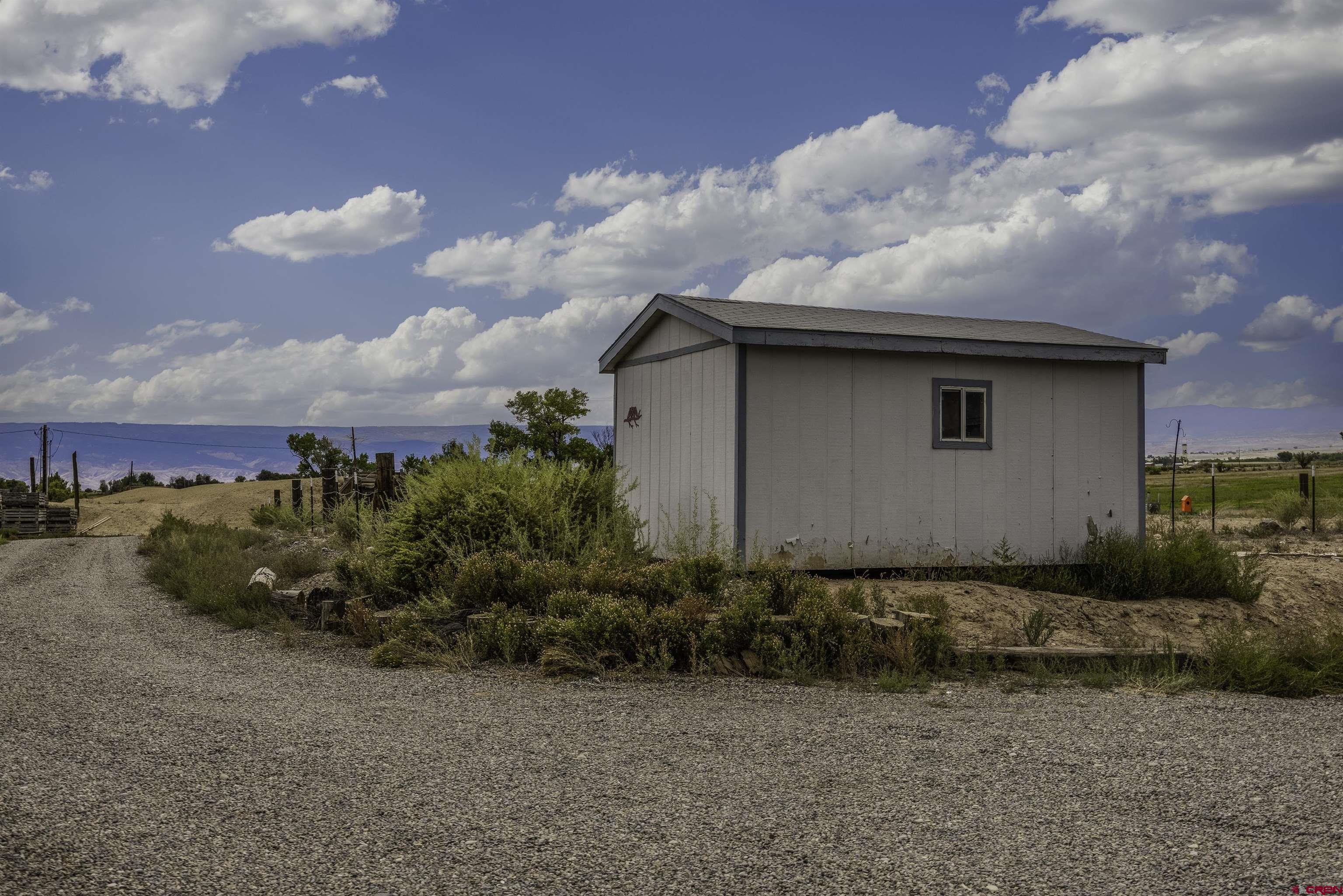 3847 5725th Road Olathe, CO 81425 - Photo 20 of 26 a backyard of a house with lots of green space