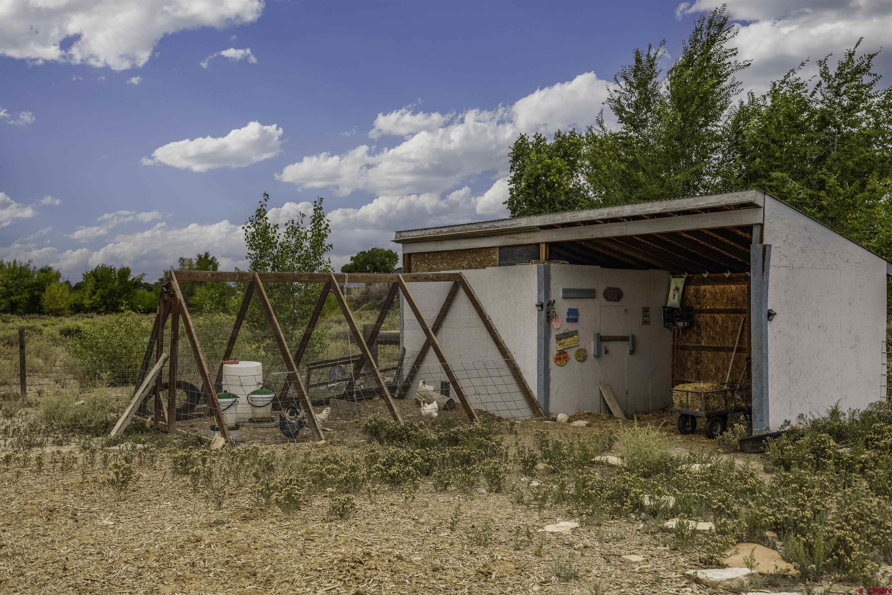 3847 5725th Road Olathe, CO 81425 - Photo 21 of 26 a view of a backyard