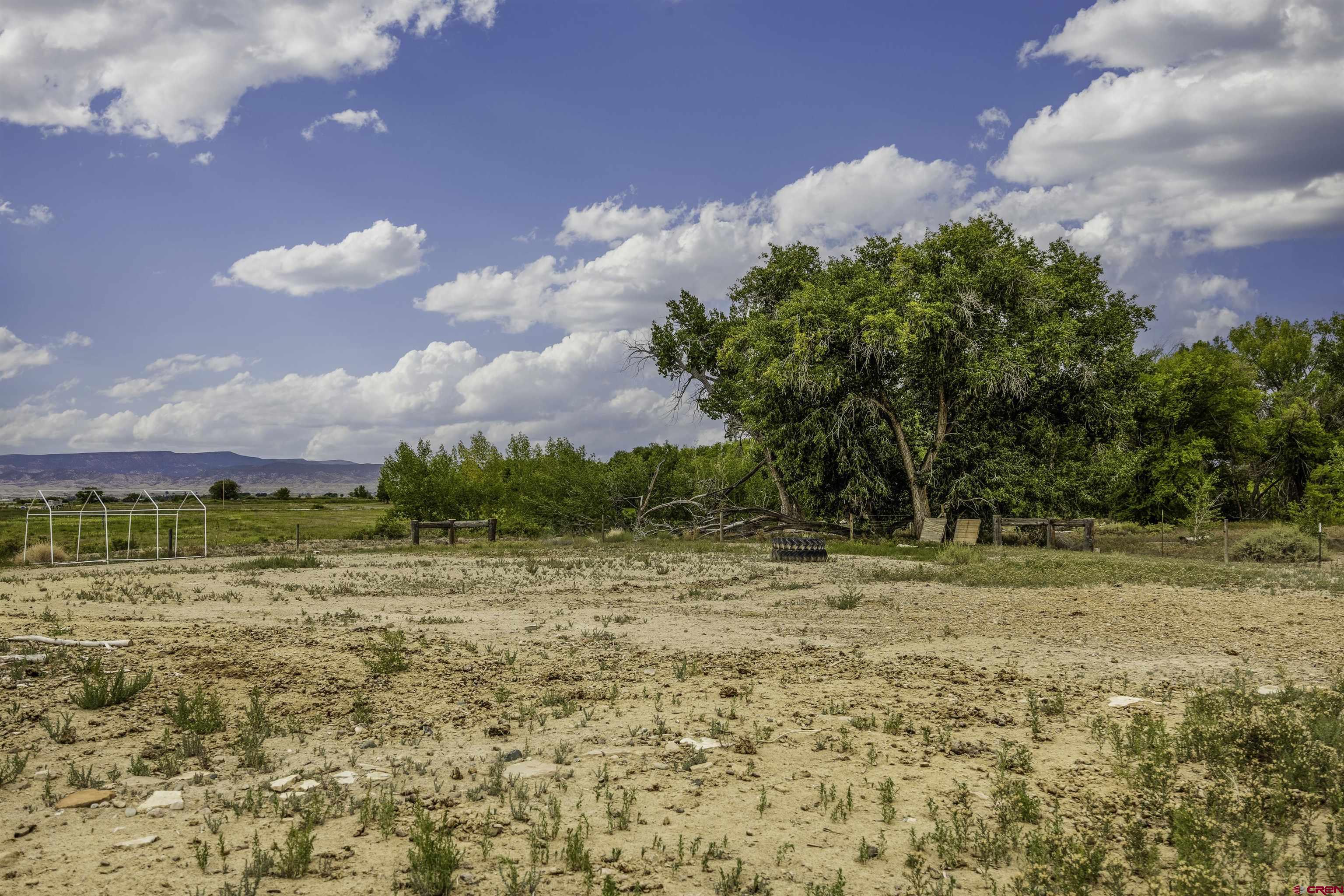 3847 5725th Road Olathe, CO 81425 - Photo 23 of 26 a view of a yard with an trees