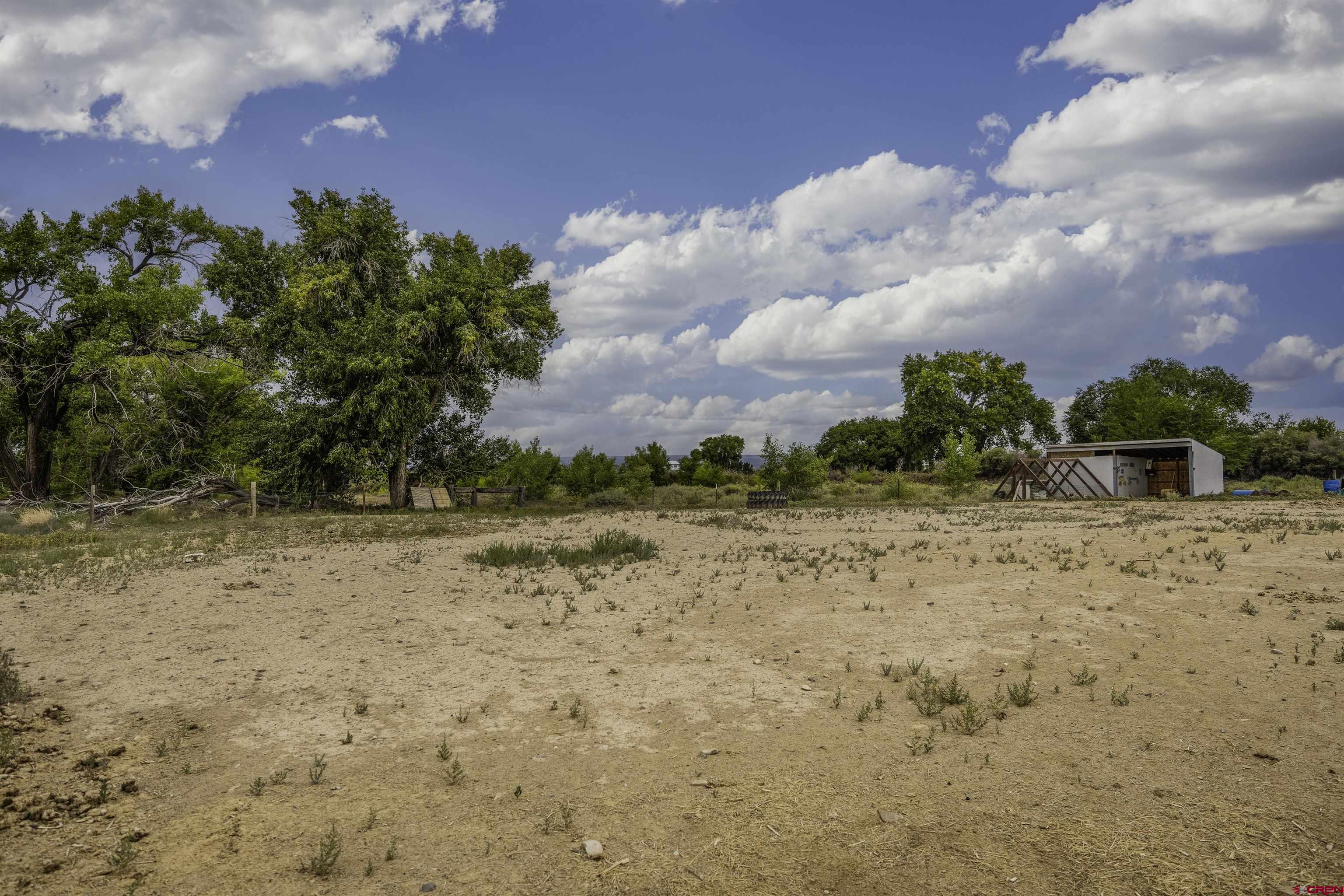 3847 5725th Road Olathe, CO 81425 - Photo 24 of 26 a view of a yard with yellow lighting