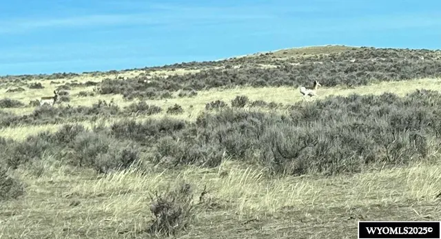 $76,000 | 15374-15375 Stuckenhoff Street, Casper, WY 82601