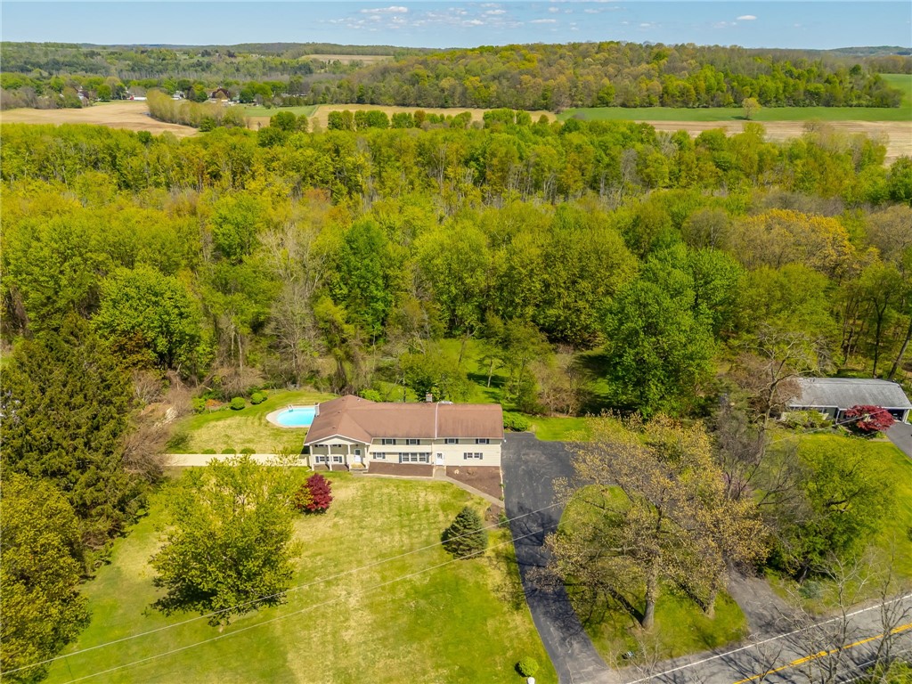 1862 Daansen Road Palmyra, NY 14522 - Photo 2 of 32