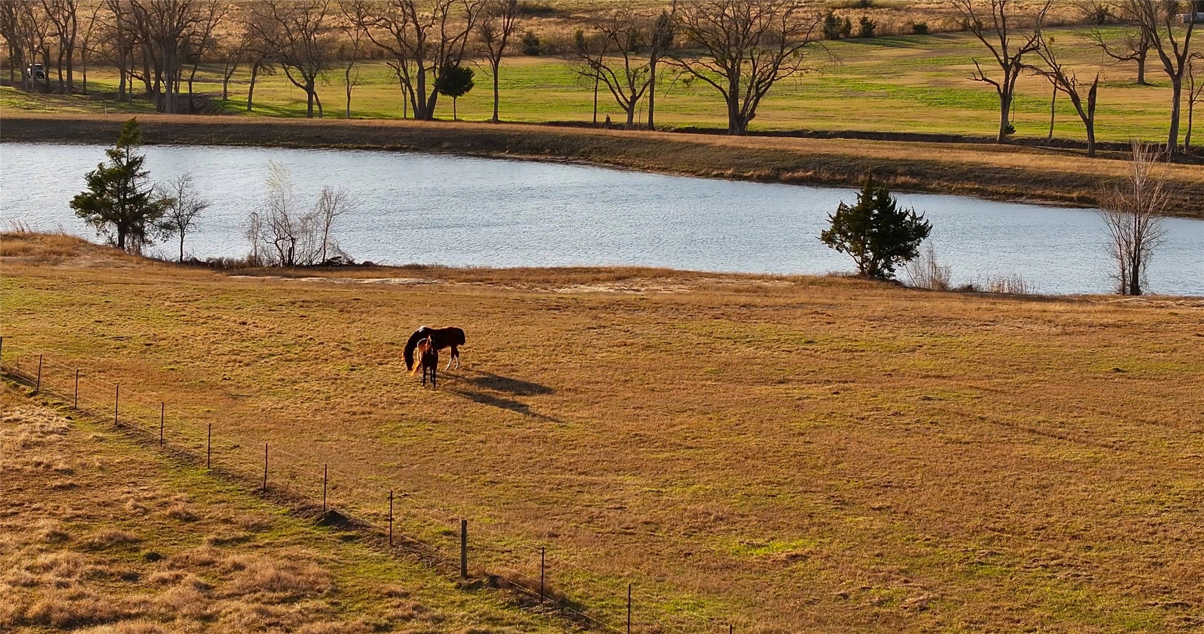 3283 Fm 2562 Road Anderson, TX 77830 - Photo 15 of 50 a view of swimming pool