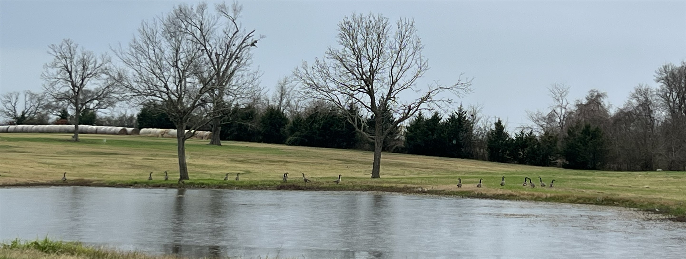 3283 Fm 2562 Road Anderson, TX 77830 - Photo 17 of 50 a view of a street