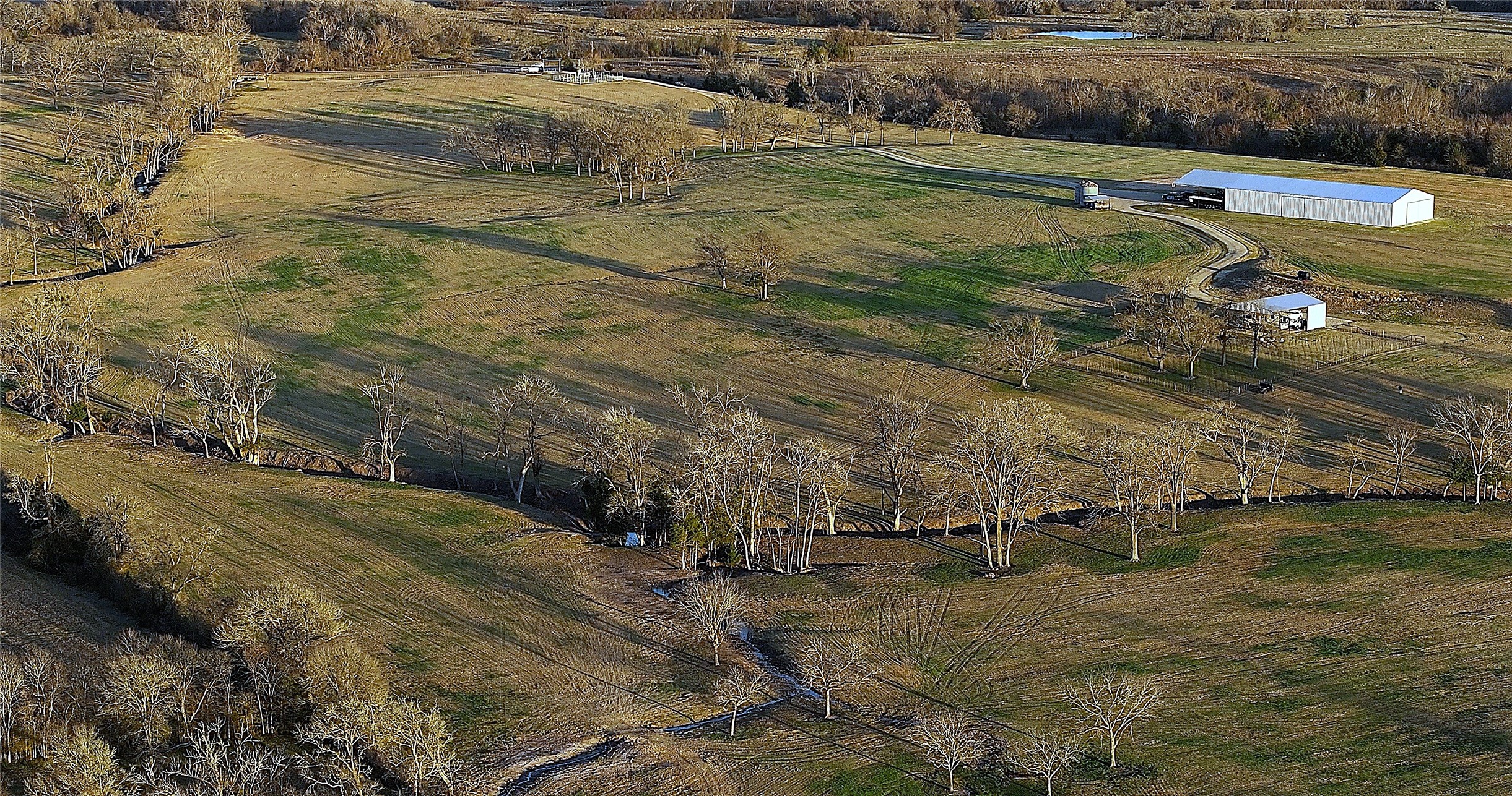 3283 Fm 2562 Road Anderson, TX 77830 - Photo 26 of 50 a view of a swimming pool with a yard