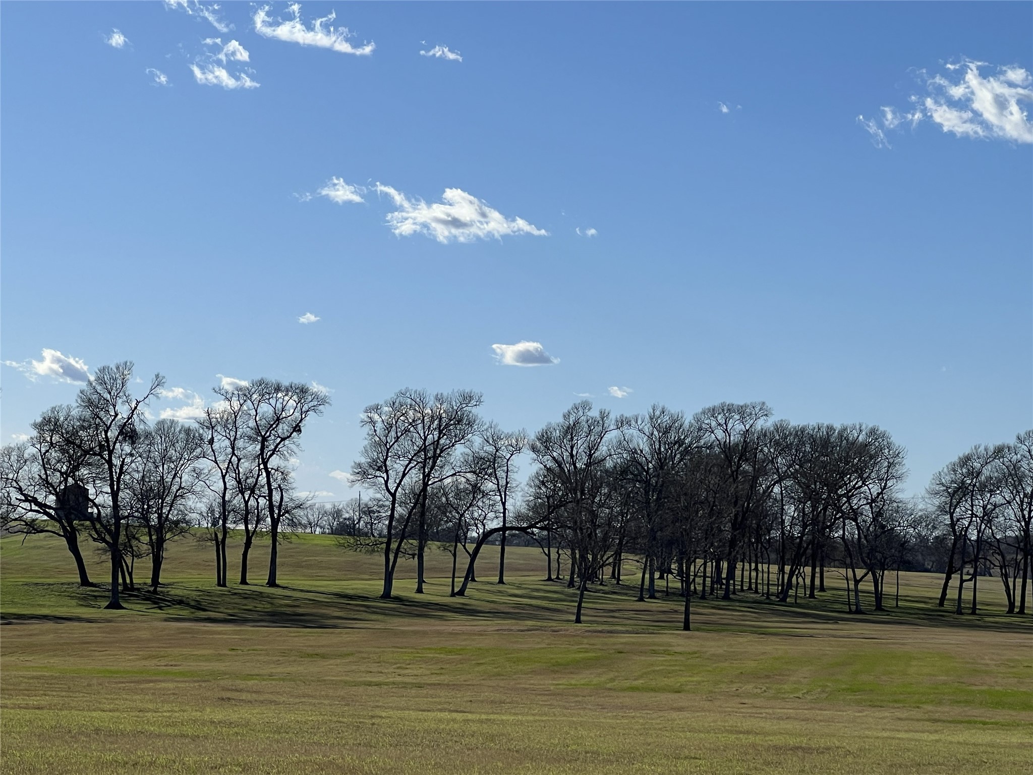 3283 Fm 2562 Road Anderson, TX 77830 - Photo 46 of 50 a view of a golf course with a trees