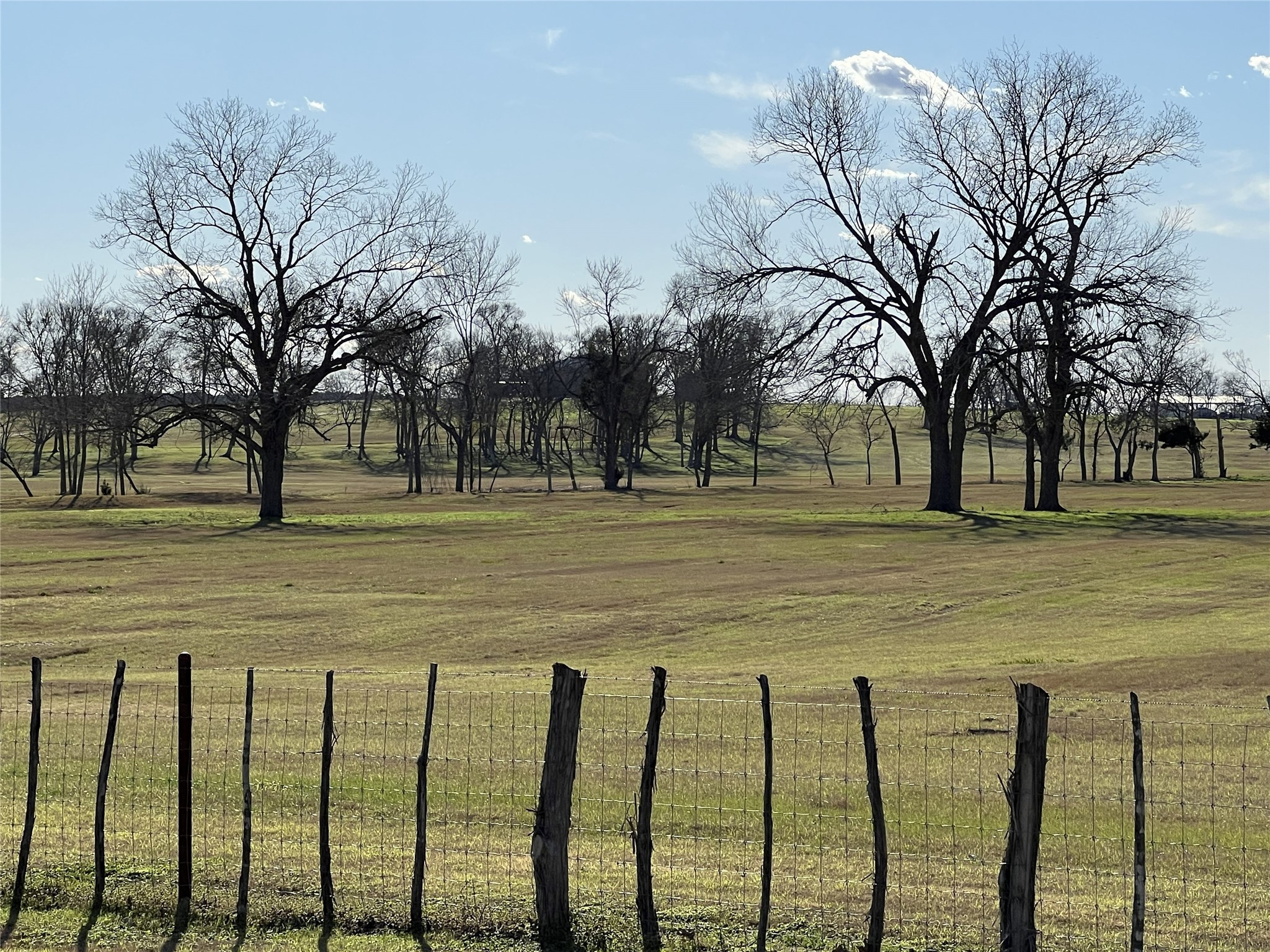 3283 Fm 2562 Road Anderson, TX 77830 - Photo 50 of 50 a city view with large trees