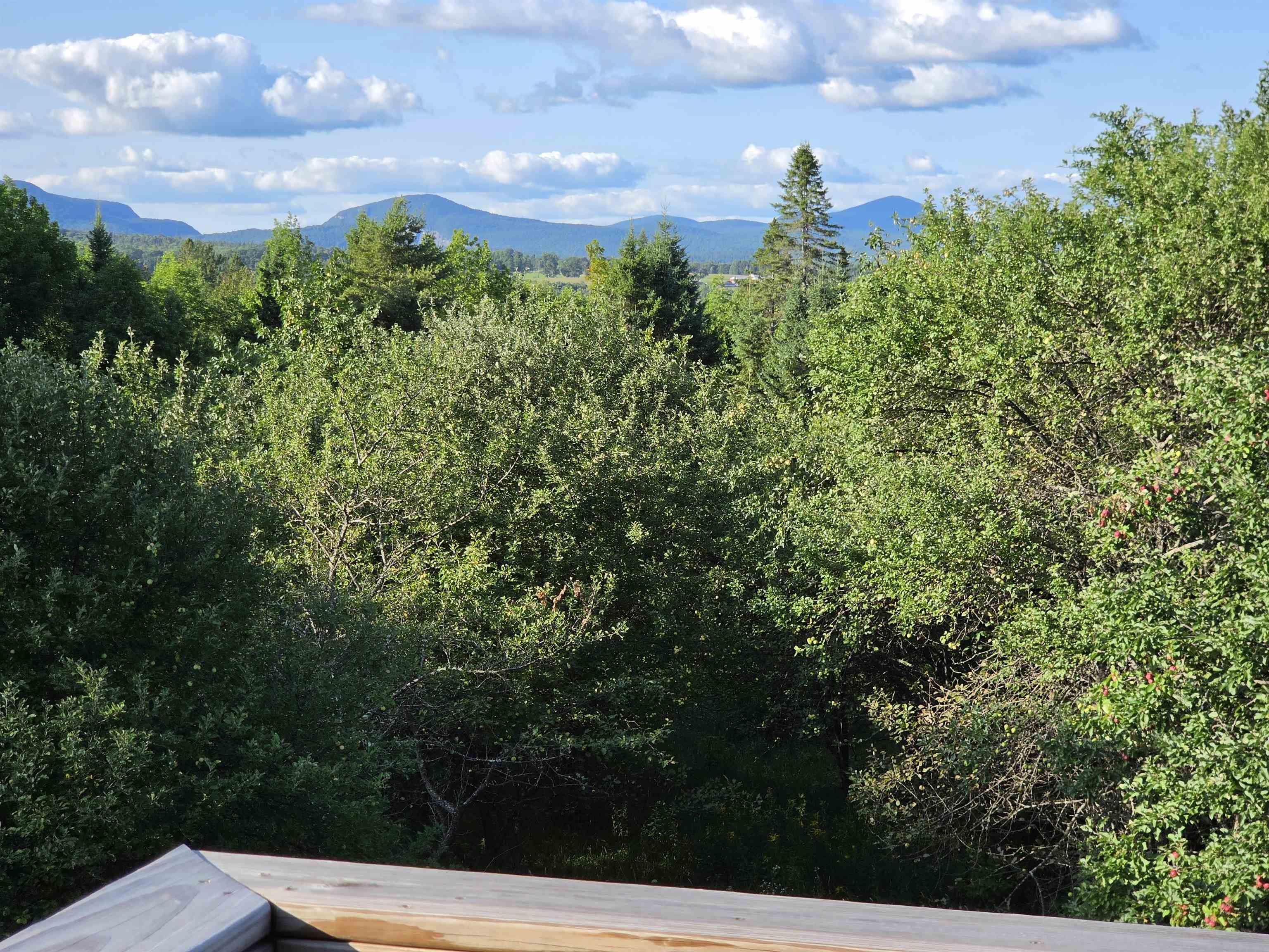 1148 Wheelock Road Sutton, VT 05867 - Photo 6 of 52 Gallery Image 6
