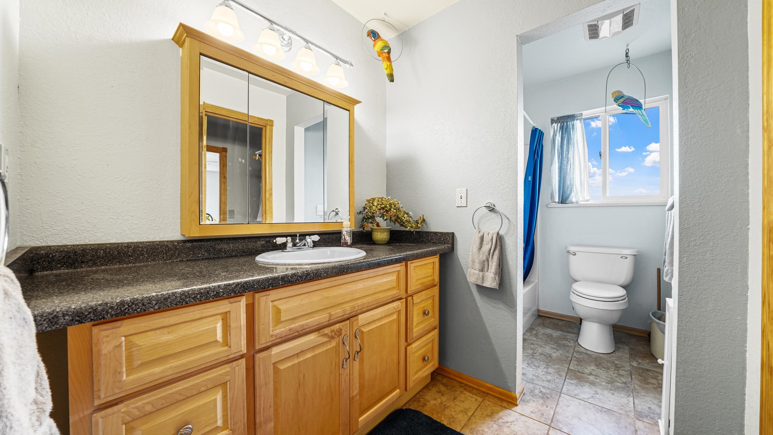 20786 Iris Road Austin, CO 81410 - Photo 26 of 38 a bathroom with a granite countertop sink toilet and mirror