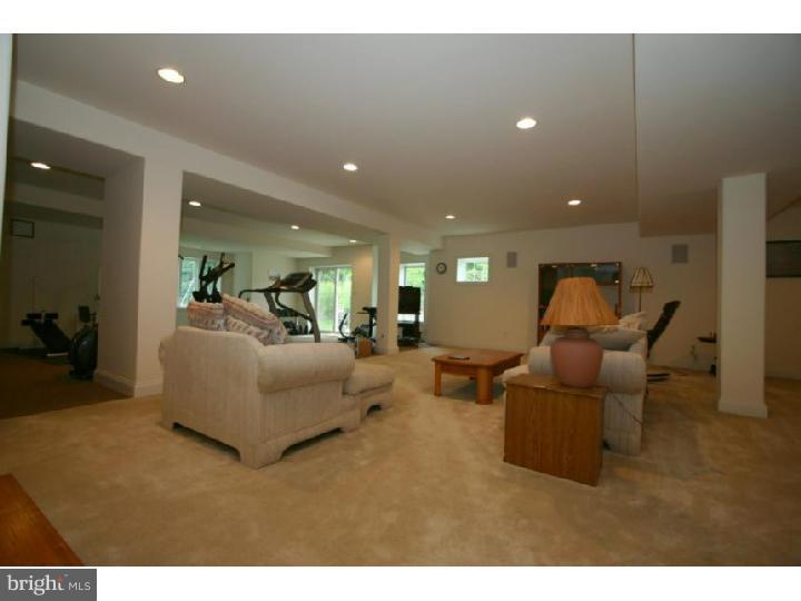 230 Southbank Road Landenberg, PA 19350 - Photo 18 of 24 Basement - Finished