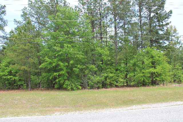1351 Clark Road Augusta, GA 30906 - Photo 2 of 3