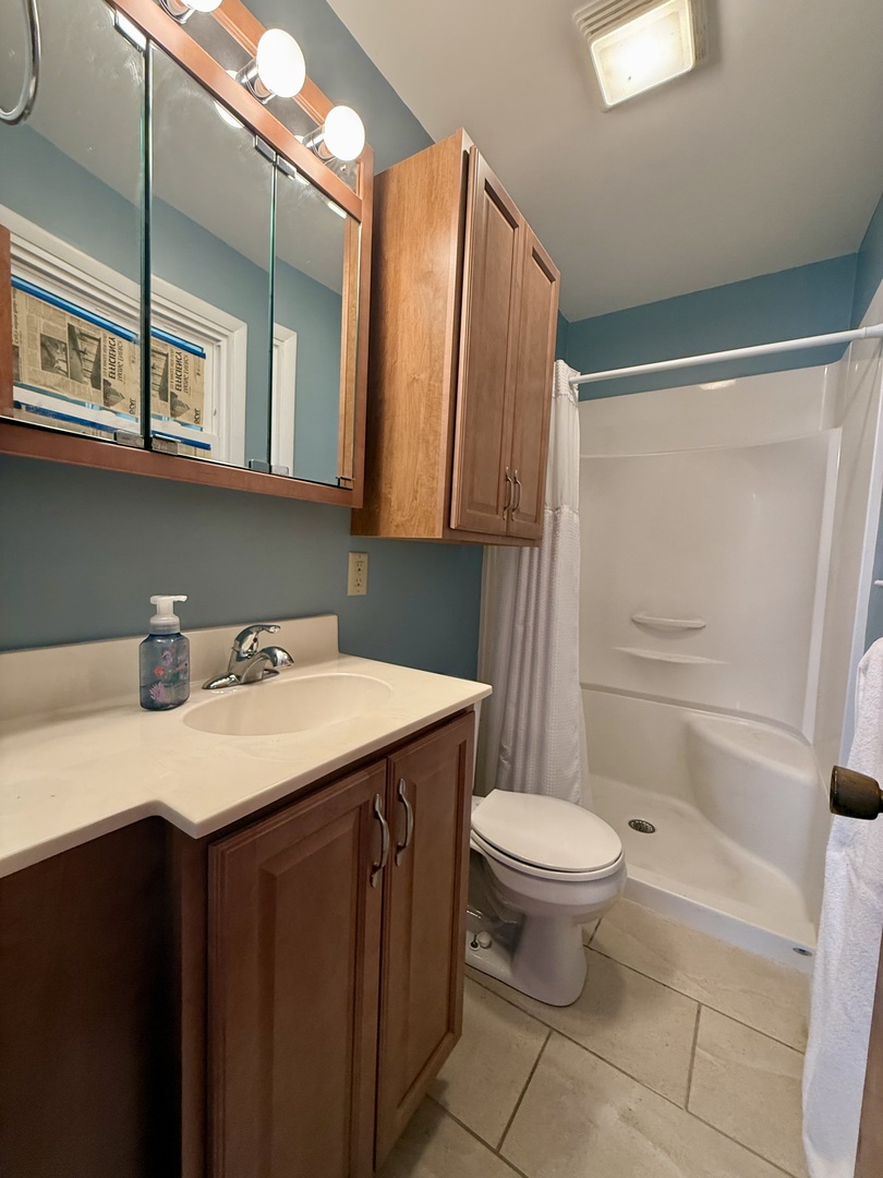 1340 Jeffrey Drive Rantoul, IL 61866 - Photo 13 of 18 a bathroom with a sink a toilet and shower
