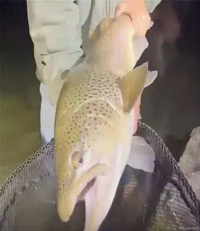 $9,700,000 | 1853 County Road, Kremmling, CO 80459