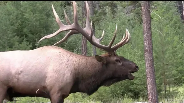 $9,700,000 | 1853 County Road, Kremmling, CO 80459