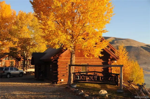 a kitchen with a stove and a white refrigerator