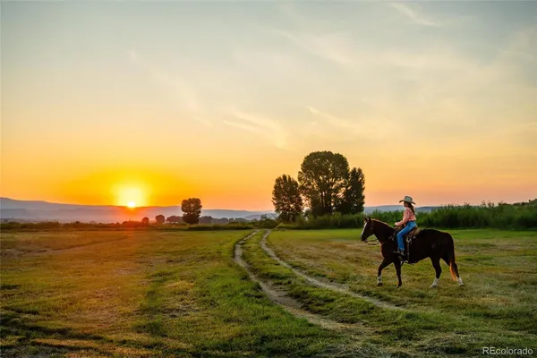 a view of yard and ocean view