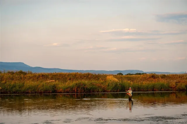 a view of swimming pool with a yard