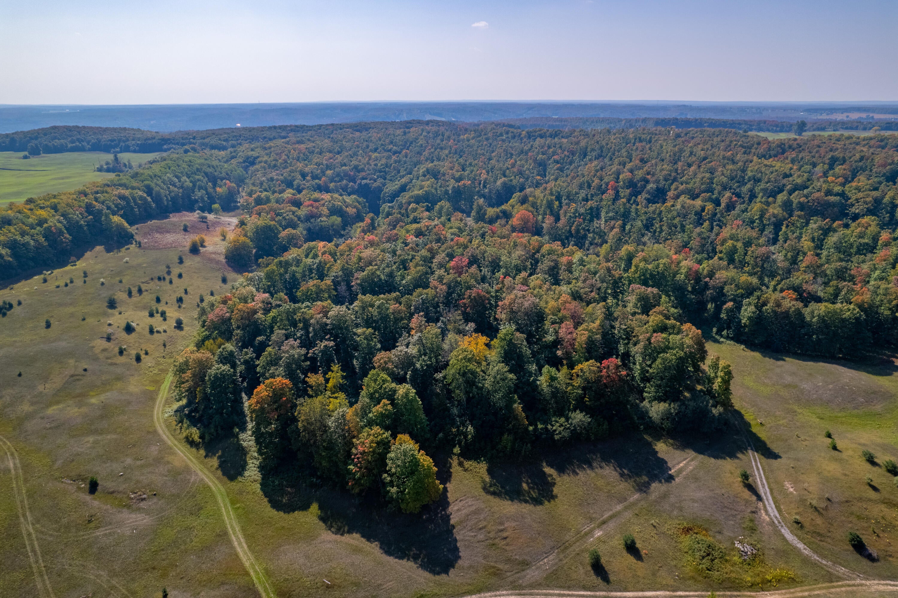 Seymore Road Gaylord, MI 49735 - Photo 24 of 27 DJI_0018-HDR