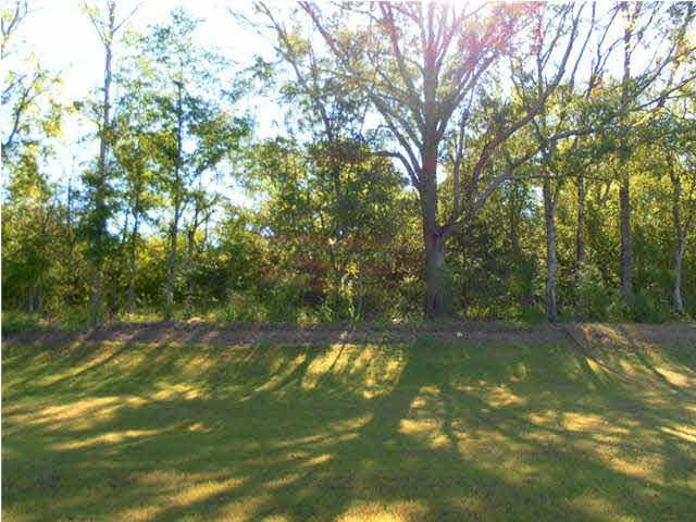 179 Memory Lane Madison, MS 39110 - Photo 22 of 24 Private wooded backyard