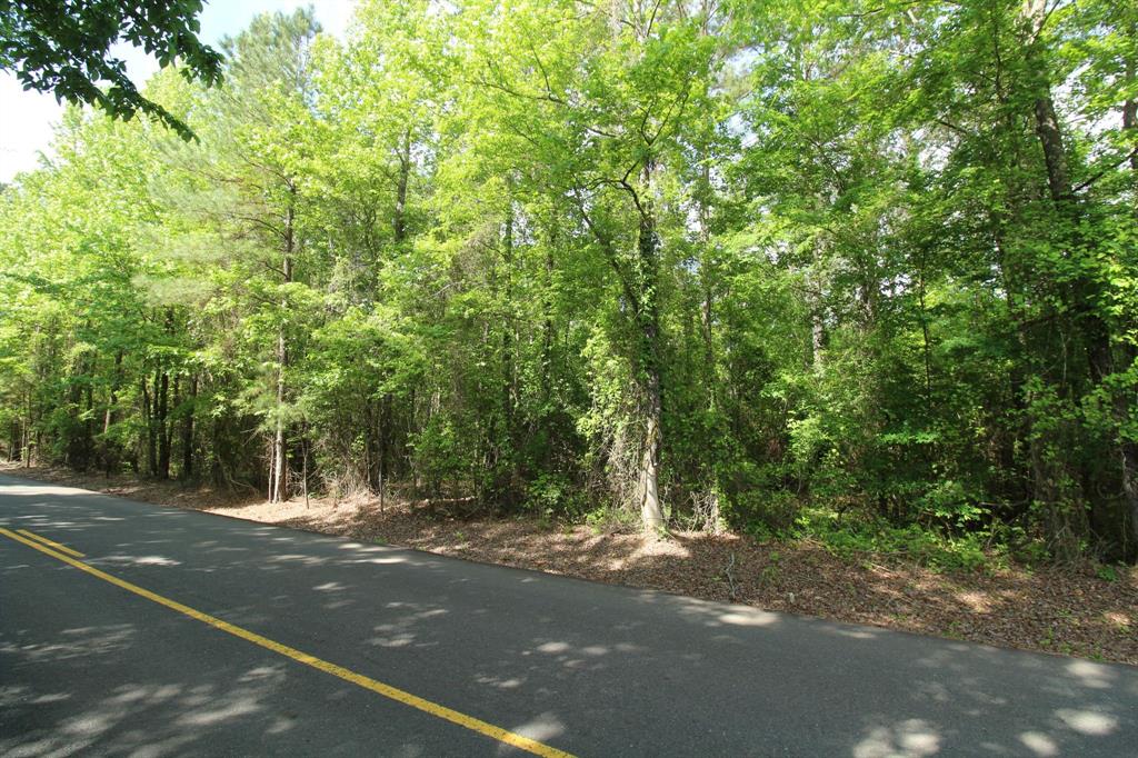 2 Mott Road Plain Dealing, LA 71064 - Photo 2 of 8