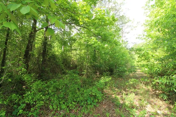 $99,500 | 2 Mott Road, Plain Dealing, LA 71064