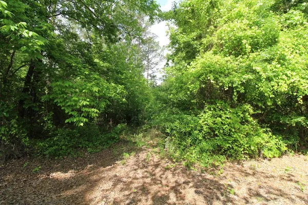 $99,500 | 2 Mott Road, Plain Dealing, LA 71064