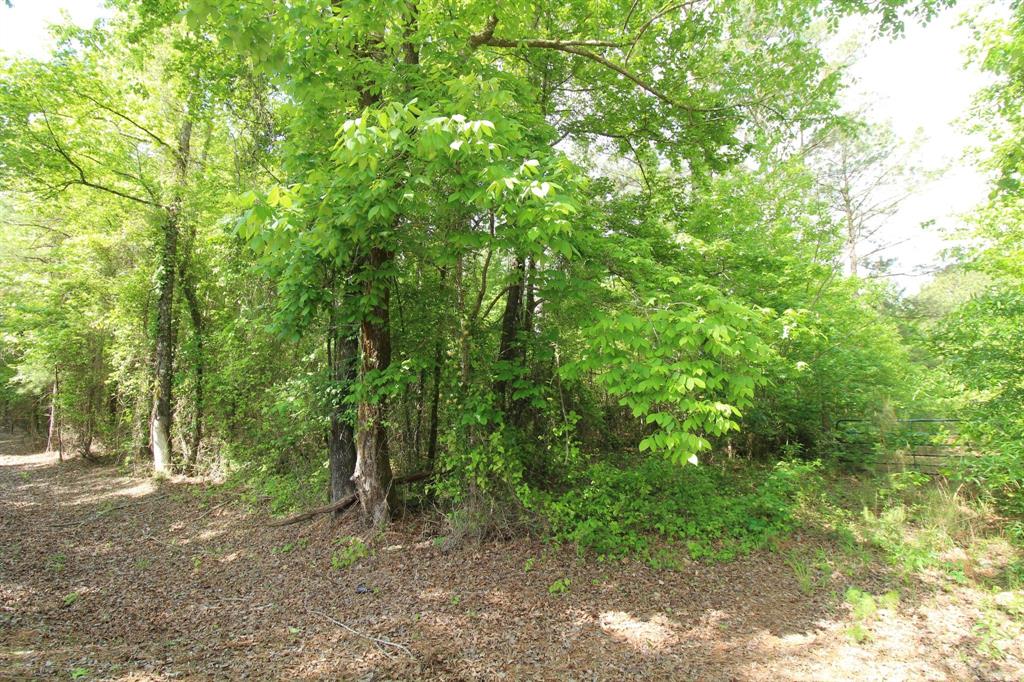 2 Mott Road Plain Dealing, LA 71064 - Photo 6 of 8