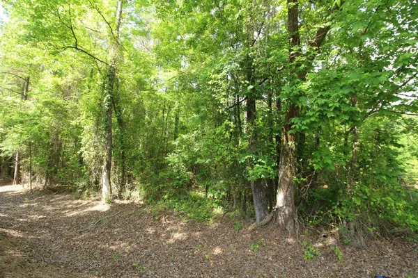 $99,500 | 2 Mott Road, Plain Dealing, LA 71064