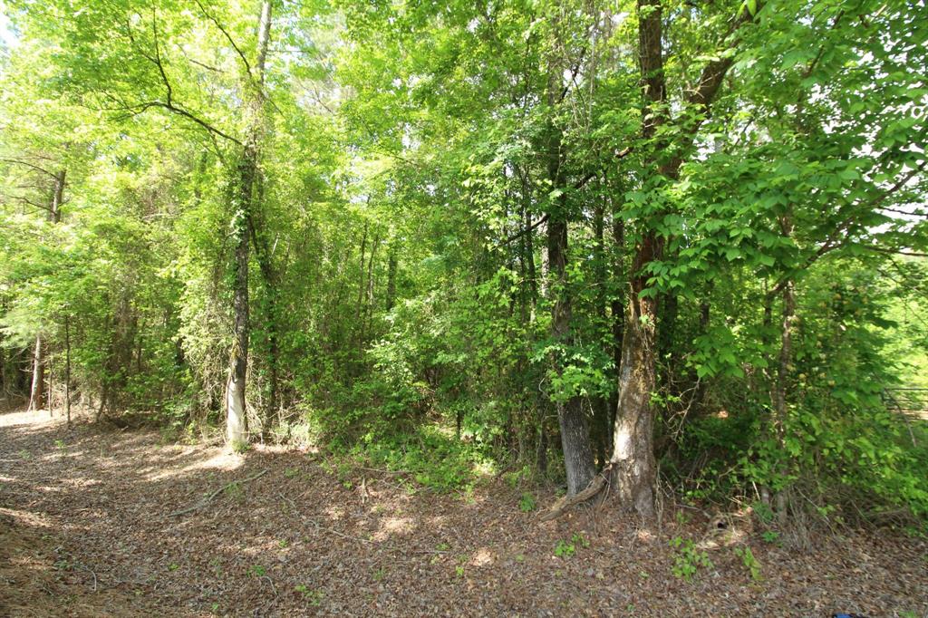 2 Mott Road Plain Dealing, LA 71064 - Photo 7 of 8