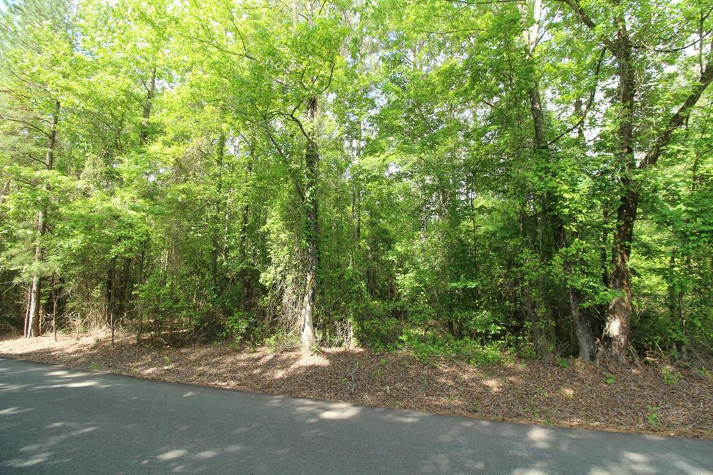 2 Mott Road Plain Dealing, LA 71064 - Photo 8 of 8