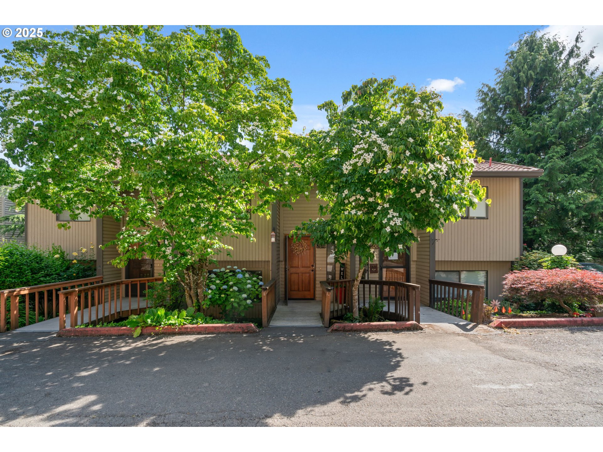 a backyard of a house with plants and trees