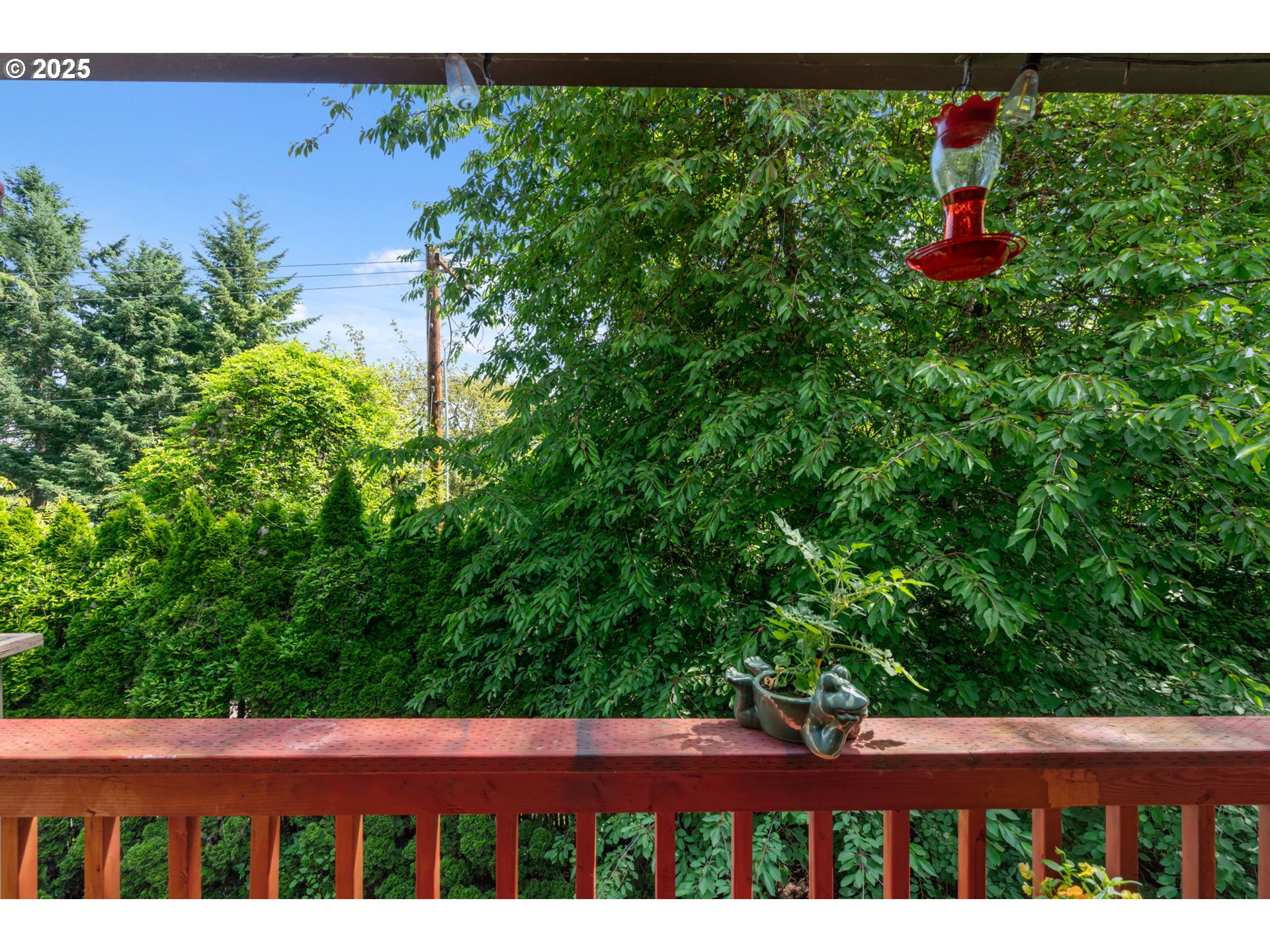 2818 Tree Top Lane West Linn, OR 97068 - Photo 34 of 46 a view of outdoor space yard and swimming pool