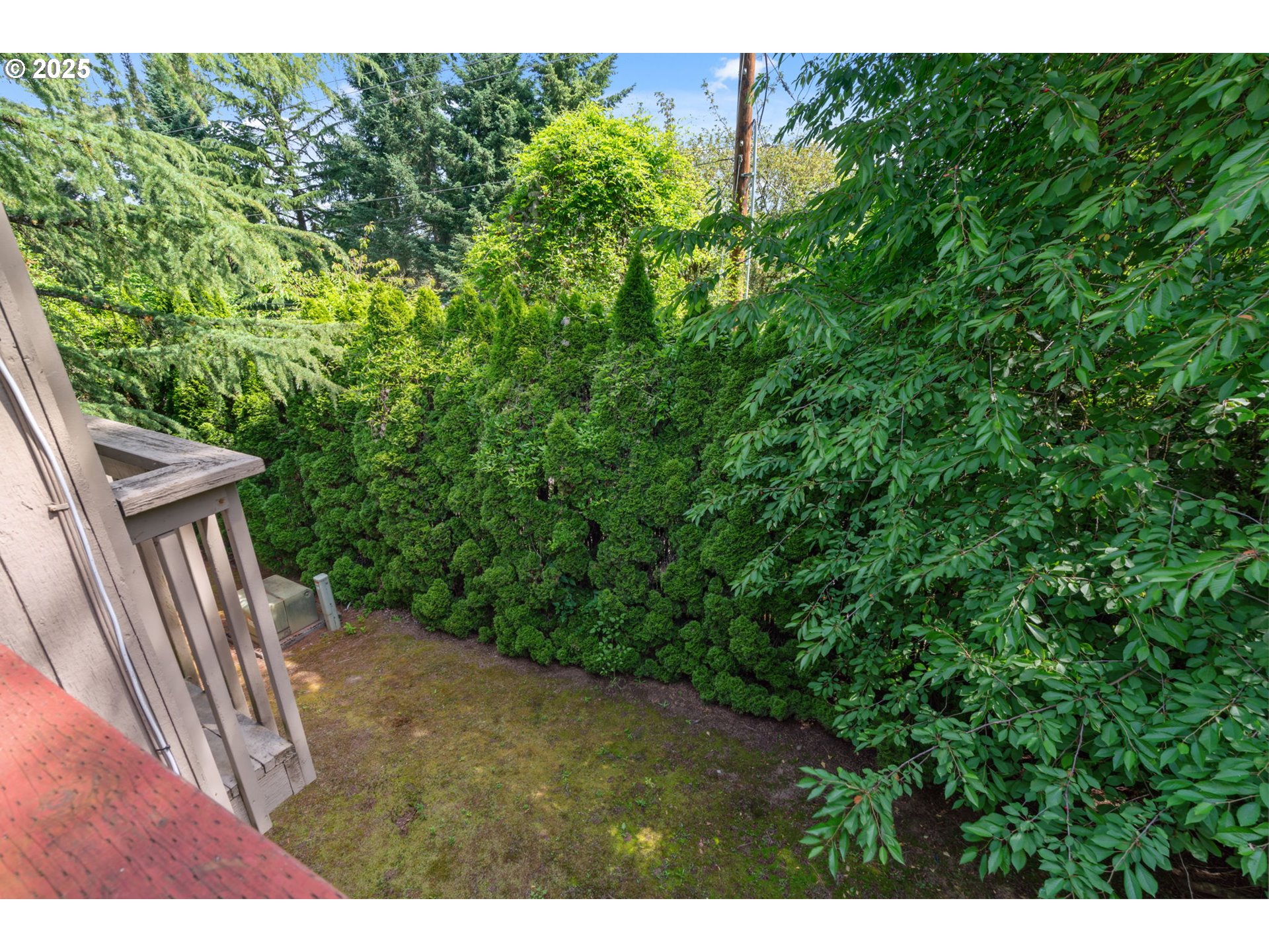 2818 Tree Top Lane West Linn, OR 97068 - Photo 36 of 46 a view of a backyard with potted plants