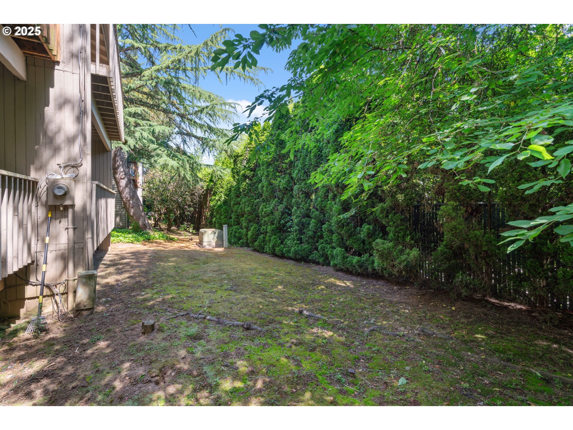 2818 Tree Top Lane West Linn, OR 97068 - Photo 38 of 46 a view of a yard with plants and a trees