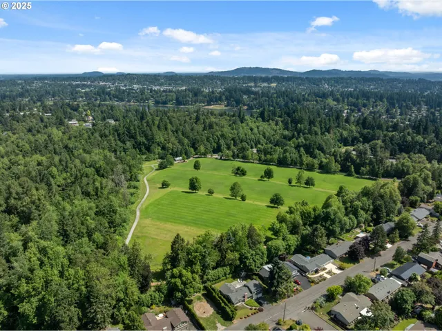 a view of a lush green forest with trees in the background