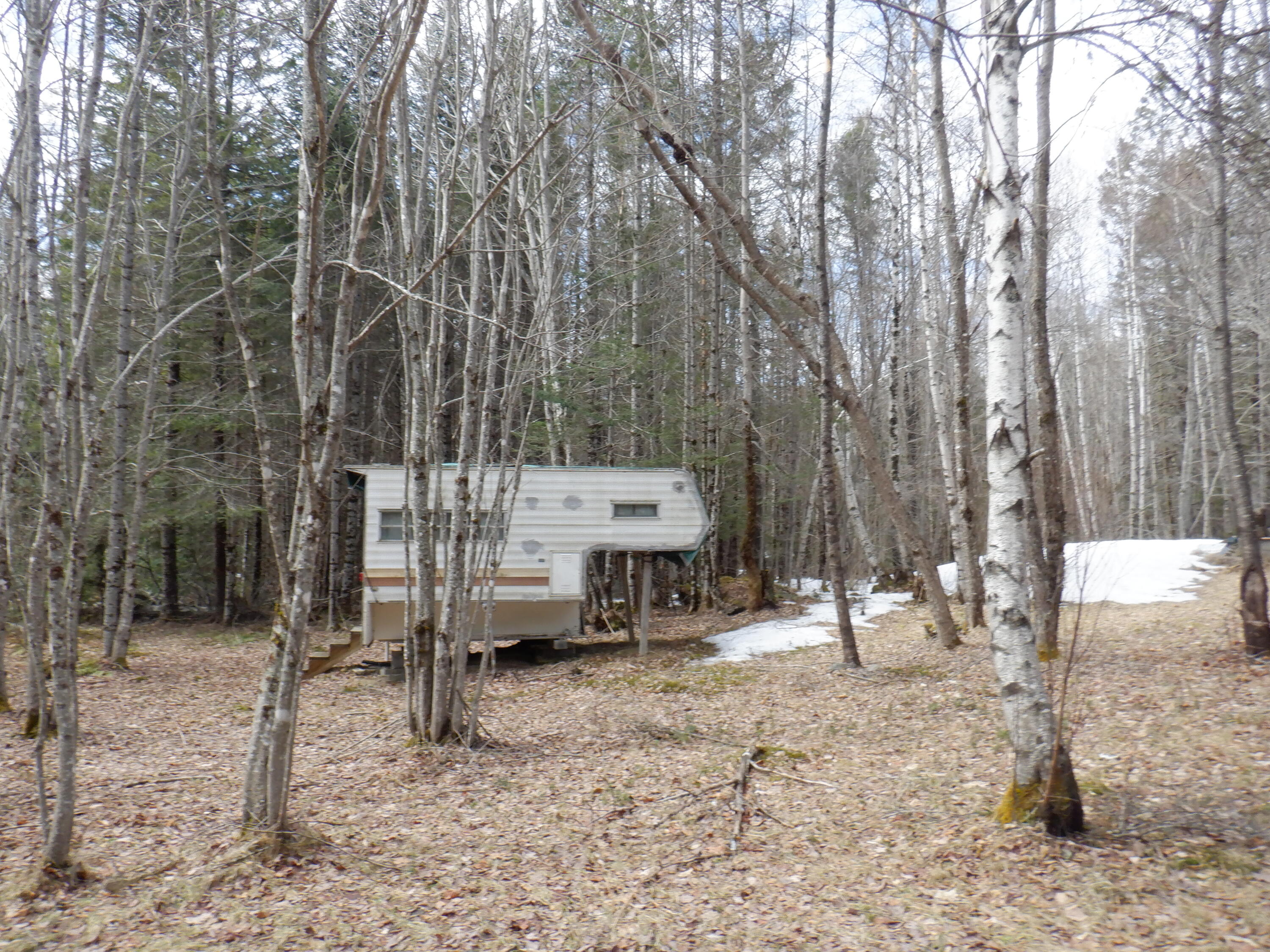 150 Moores Road Springfield, ME 04487 - Photo 28 of 34 DSCF4245
