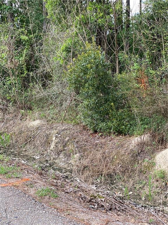 Lot 6 Coates Road Hammond, LA 70403 - Photo 3 of 20