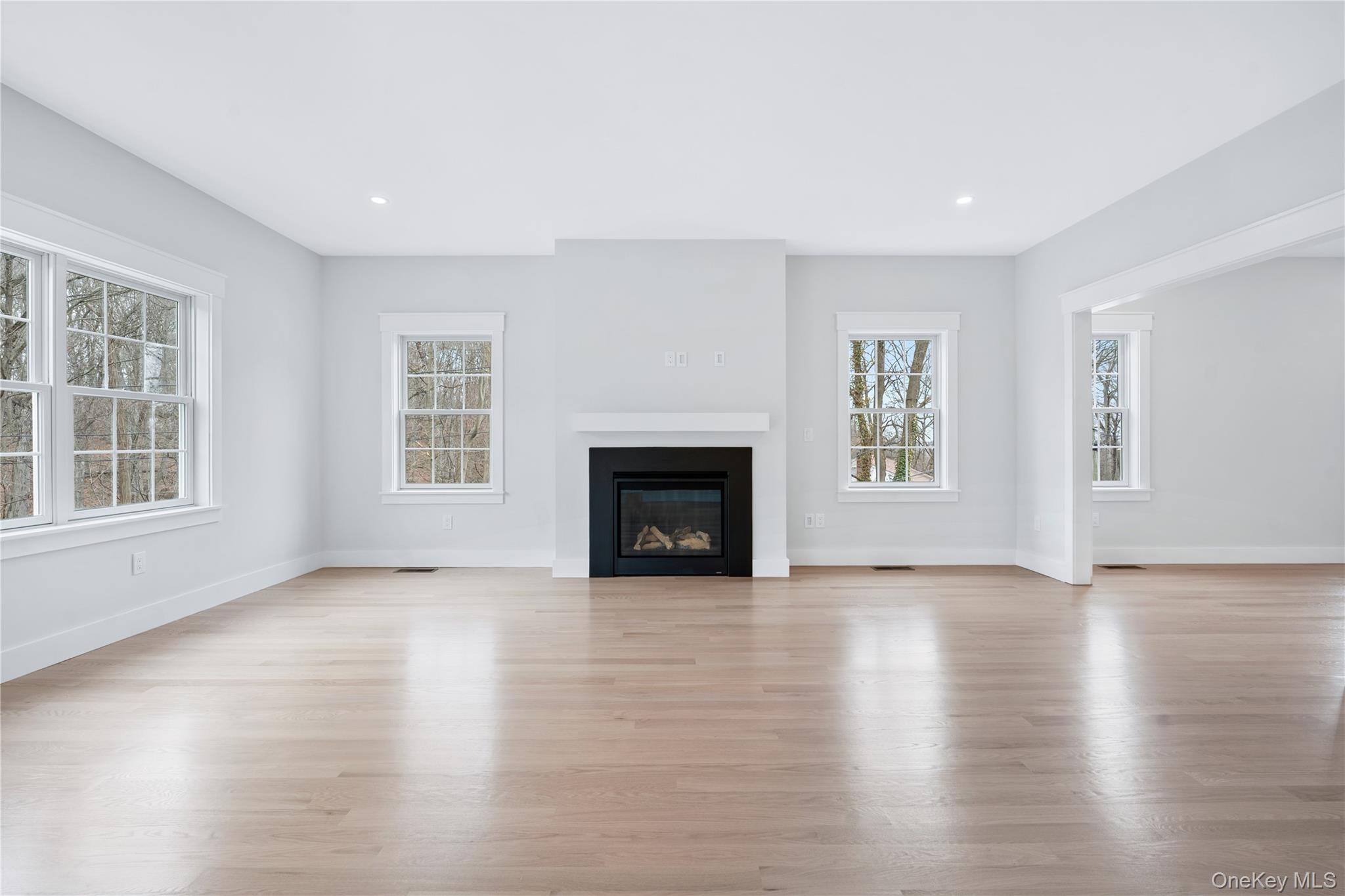 16 Stephens Lane Valhalla, NY 10595 - Photo 19 of 47 an empty room with wooden floor fireplace and windows
